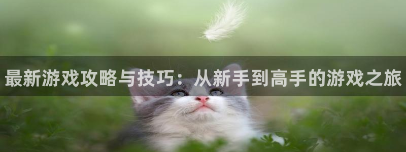 天美娱乐登陆测速：最新游戏攻略与技巧：从新手到高手的游戏之旅