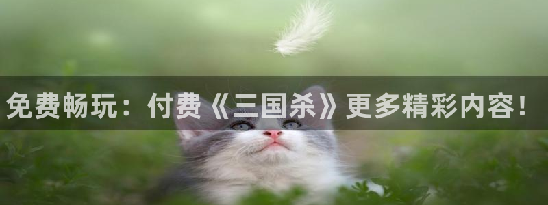 手机版天美娱乐客户端下载：免费畅玩：付费《三国杀》更多精彩内