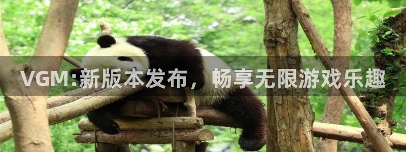 天美娱乐app下载|下载地址：VGM:新版本发布，畅享无限游