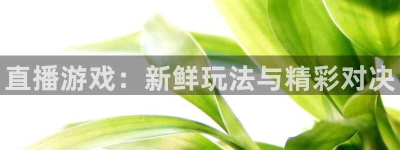 天美娱乐下载：直播游戏：新鲜玩法与精彩对决