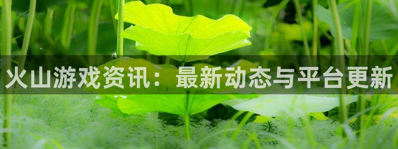 天美娱乐平台注册：火山游戏资讯：最新动态与平台更新
