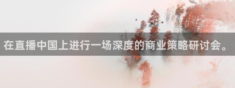 山猫直播体育免费观看下载：在直播中国上进行一场深度的商业策略研讨会。
