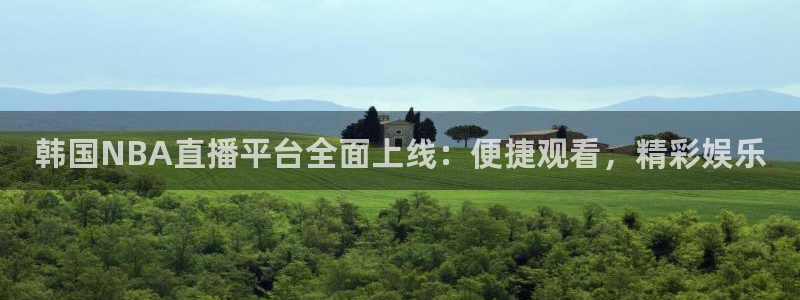山猫体育直播在线观看nba