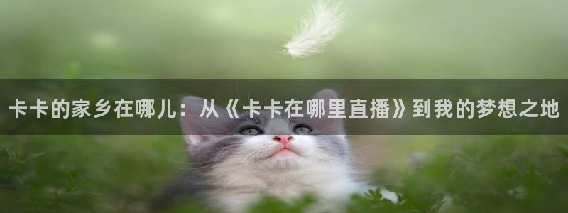 山猫体育免费在线直播