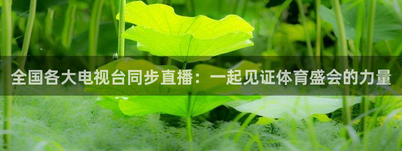 山猫体育在线免费直播：全国各大电视台同步直播：一起见证体育盛会的力量