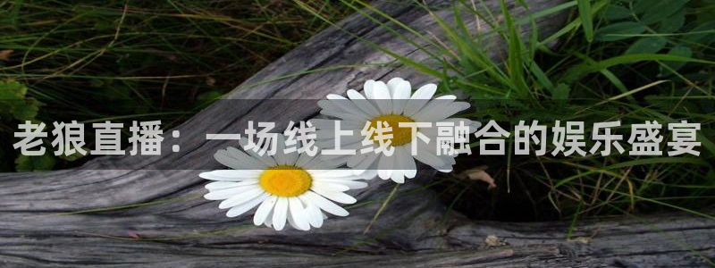 山猫直播体育app：老狼直播：一场线上线下融合的娱乐盛宴