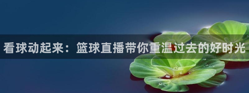 山猫体育赛事直播官网：看球动起来：篮球直播带你重温过去的好时光