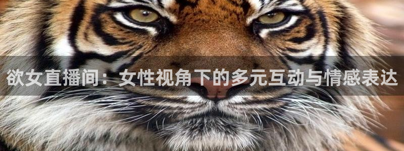 山猫直播nba：欲女直播间：女性视角下的多元互动与情感表达