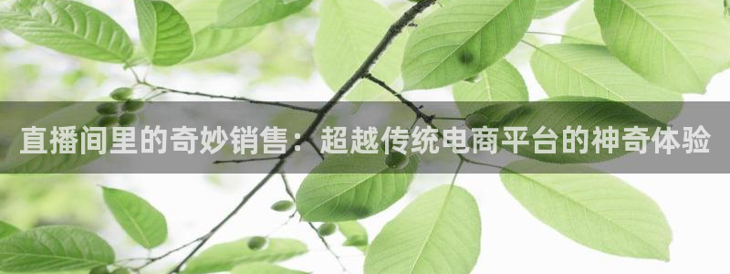 山猫体育赛事在线直播视频：直播间里的奇妙销售：超越传统电商平台的神奇体验