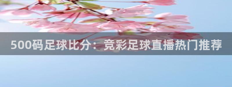 山猫体育赛事免费直播：500码足球比分：竞彩足球直播热门推荐