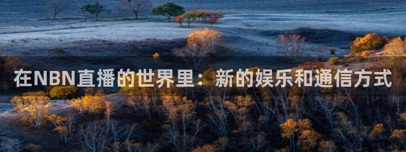 山猫体育足球比赛直播