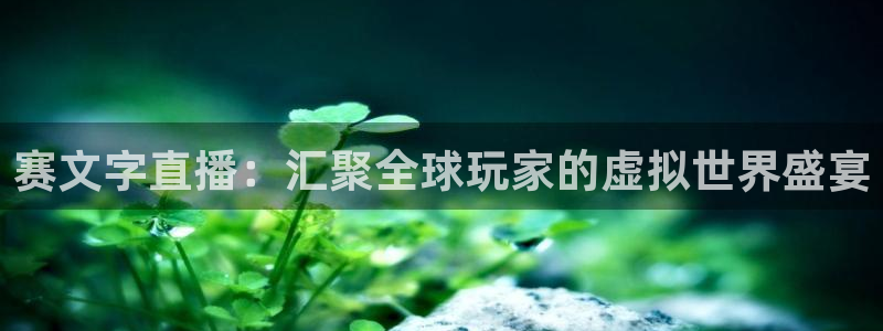 山猫直播直播：赛文字直播：汇聚全球玩家的虚拟世界盛宴