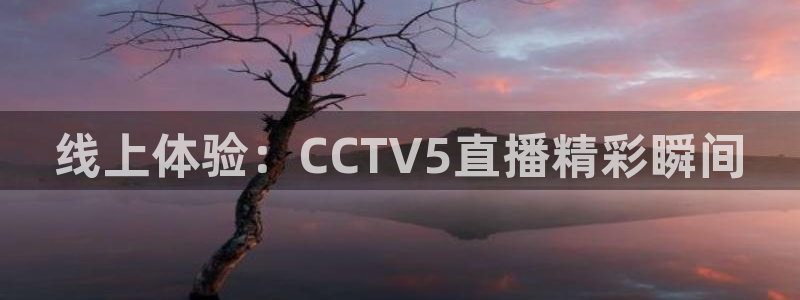 山猫直播在线观看视频：线上体验：CCTV5直播精彩瞬间