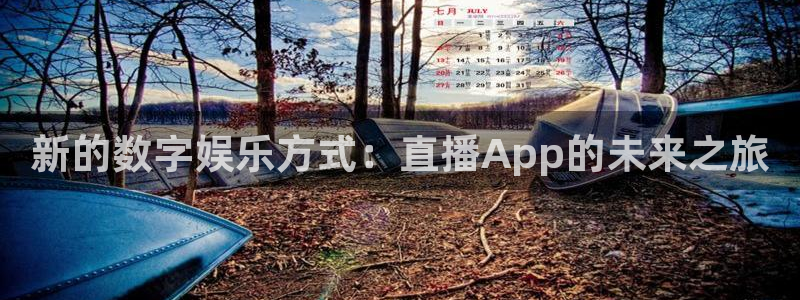 山猫足球直播在线观看免费：新的数字娱乐方式：直播App的未来之旅